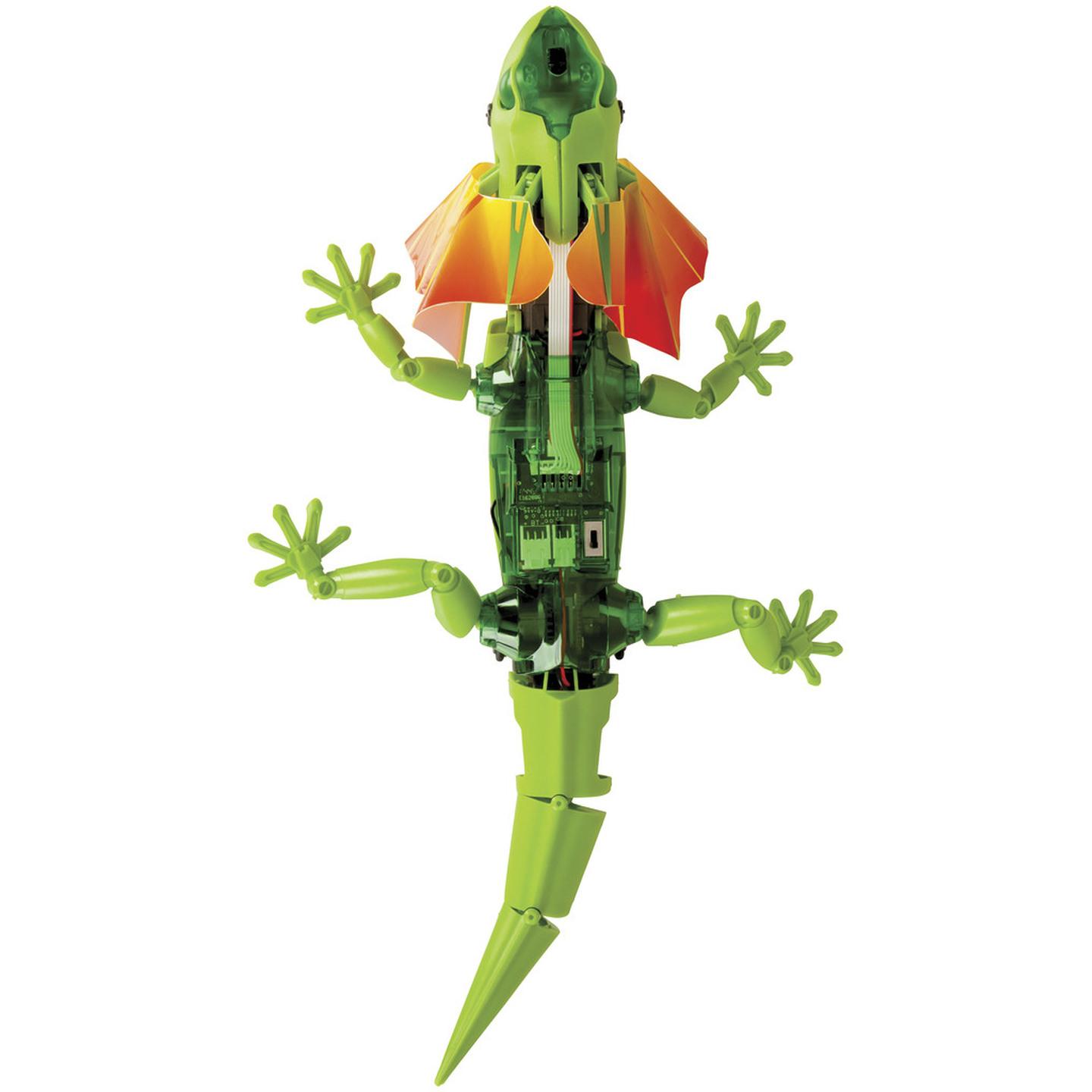 Frilled Lizard Robot Kit with IR Sensor