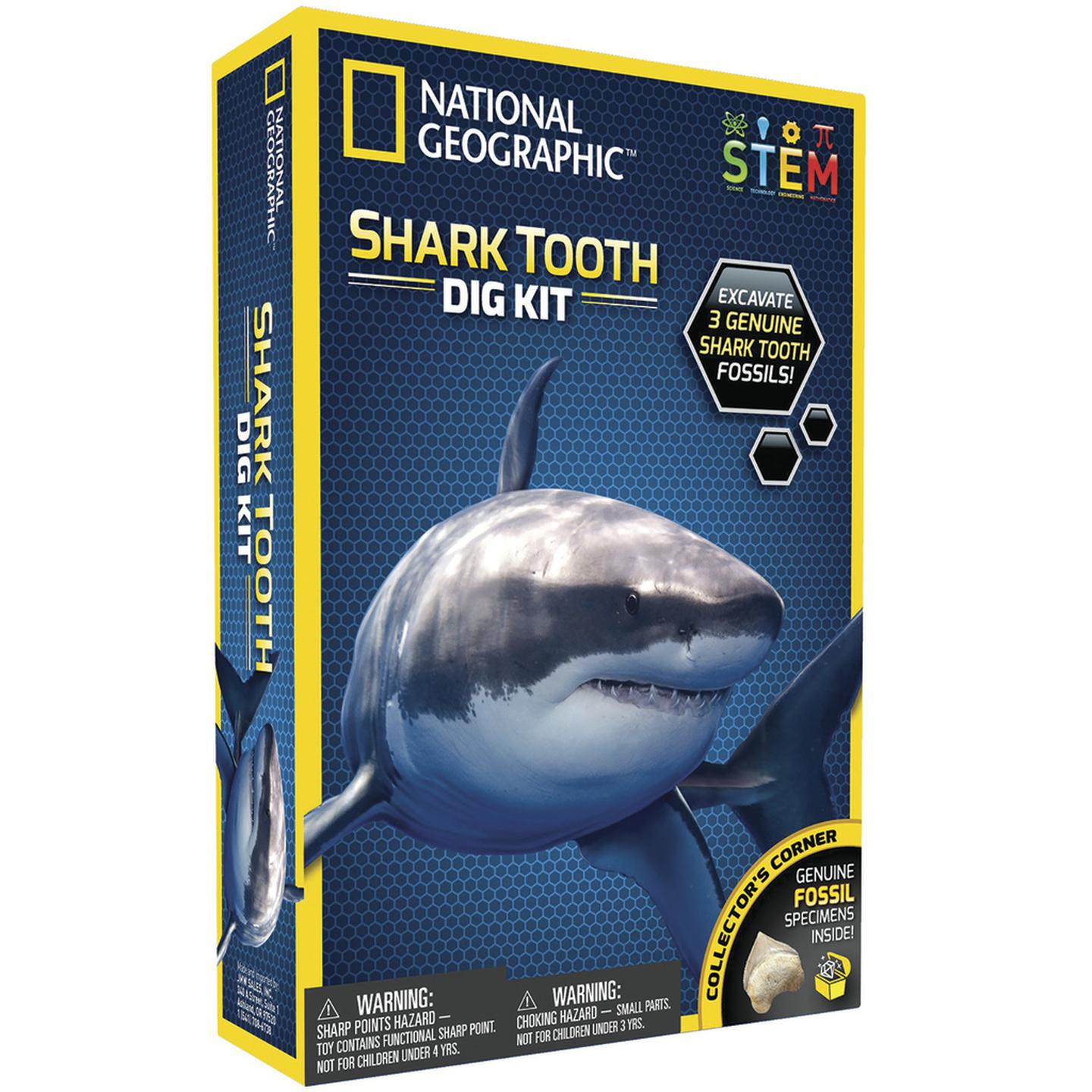 Science Kit - Shark Tooth Dig