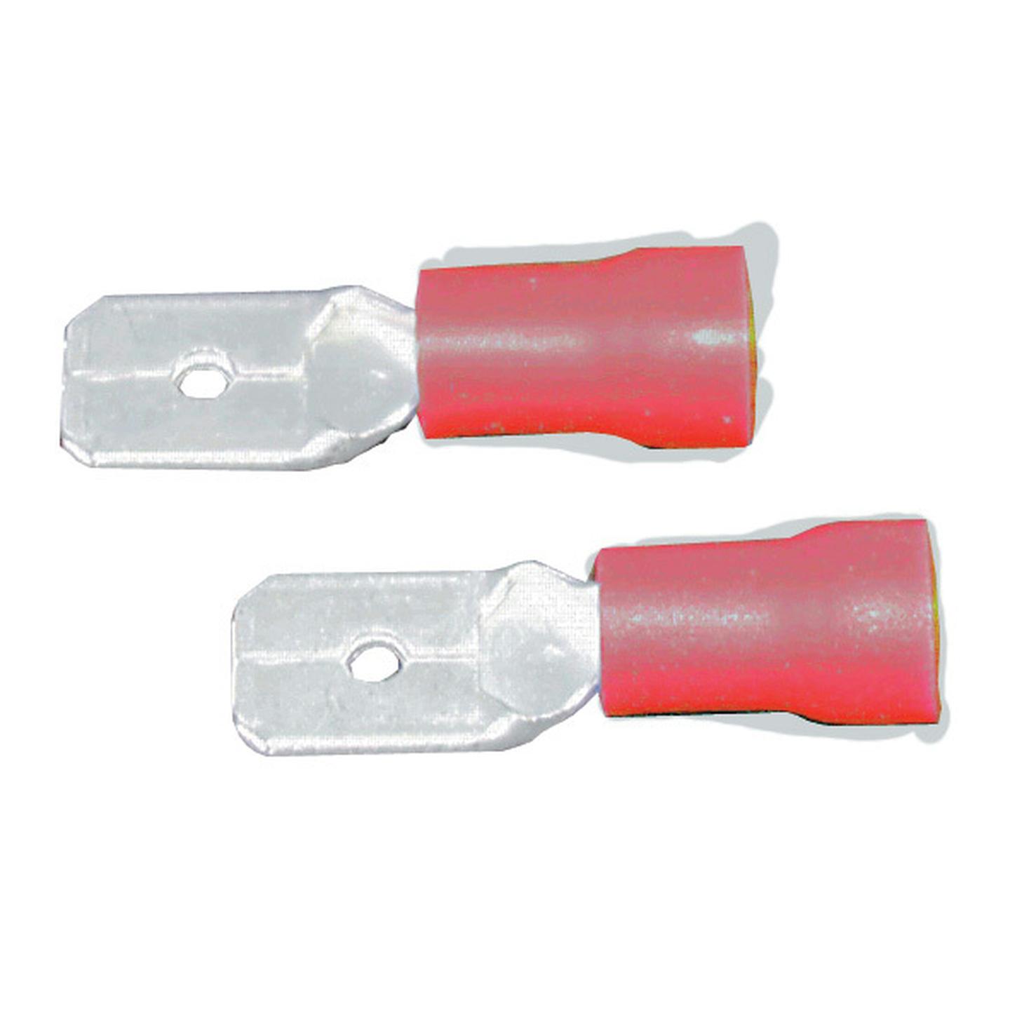 Male Spade - Red - Pack of 8