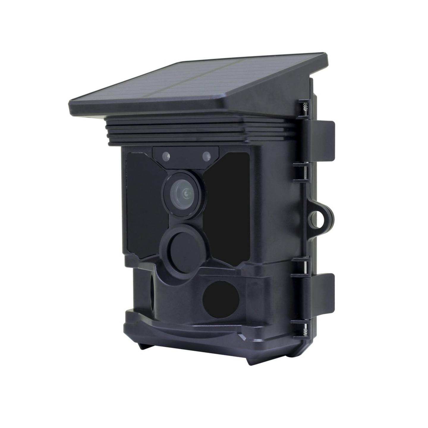 4K Outdoor Trail Camera with Integrated Solar Panel