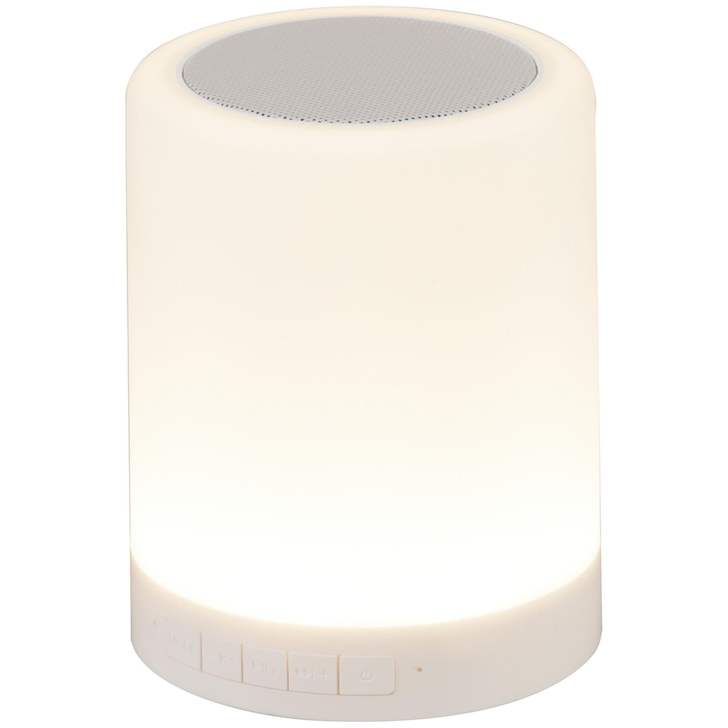 Active Bluetooth Speaker with LED Lantern