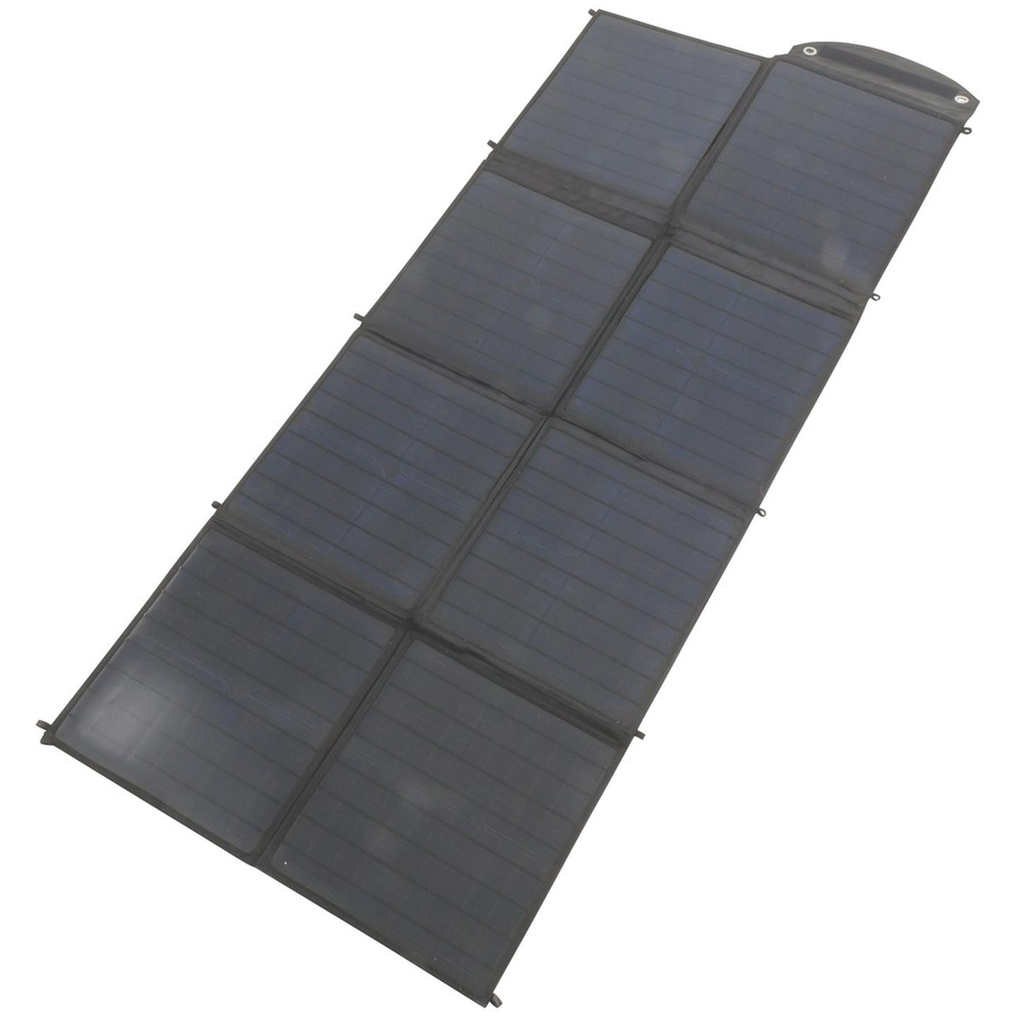 100W Solar Panel Array with Charge Controller & Carry Bag