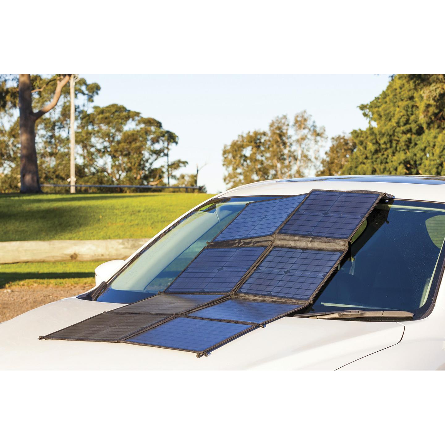 100W Solar Panel Array with Charge Controller & Carry Bag