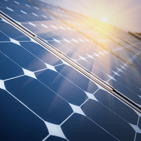 Jaycar Electronics: Leading Retail Sustainability with Green Solardarity